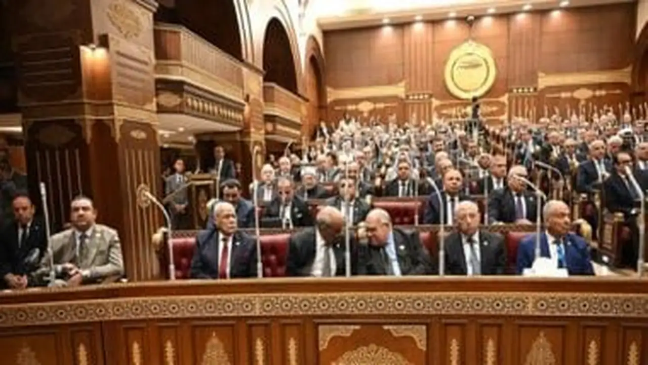 مجلس الشيوخ يبحث خطة تطوير شركة مصر للطيران لتعزيز تنافسيتها إقليمياً ودولياً